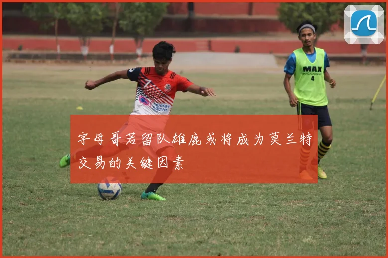 字母哥若留队雄鹿或将成为莫兰特交易的关键因素